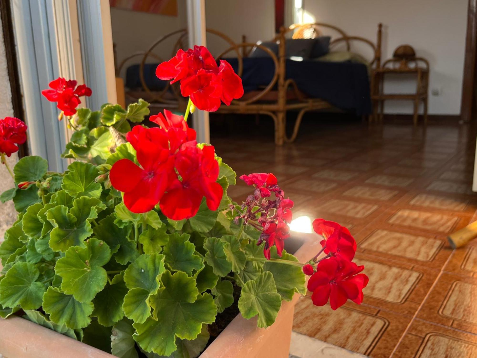 Appartement A Casa Di Mara à Mondello Extérieur photo